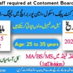 Teaching Jobs 2024 Cantonment Board