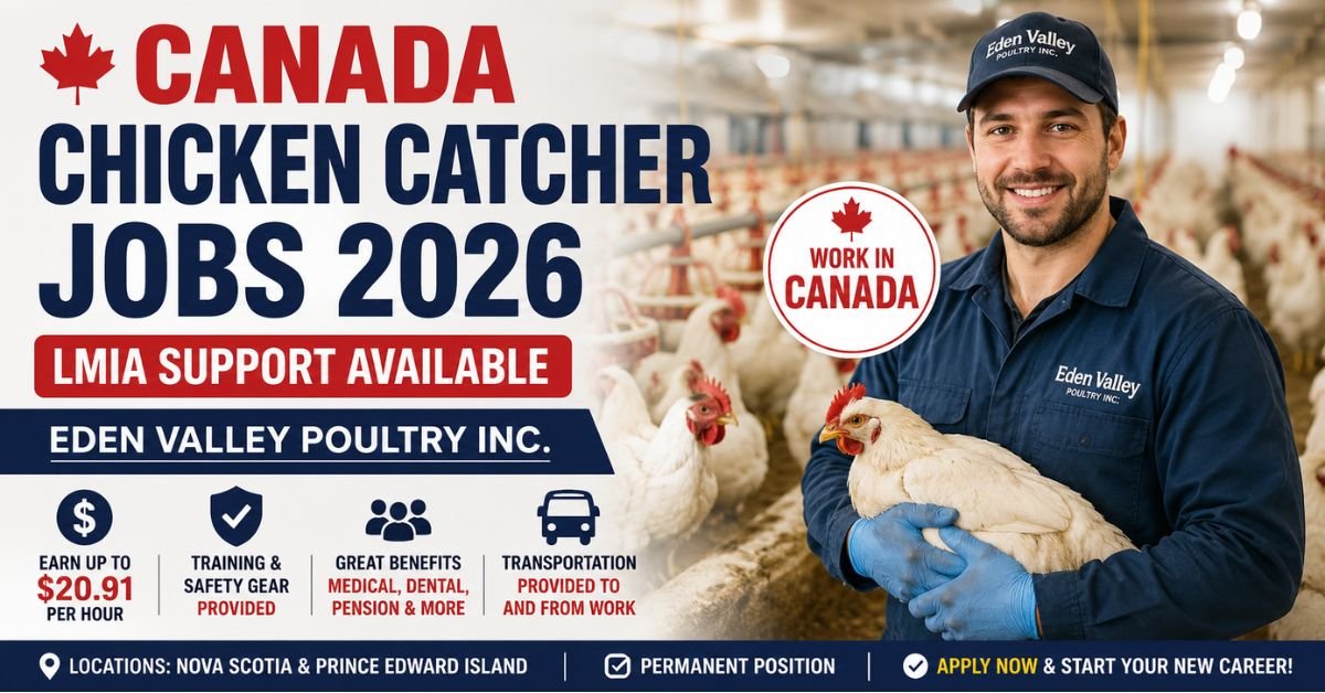 Chicken Catcher Jobs in Canada with LMIA Support – Full Guide